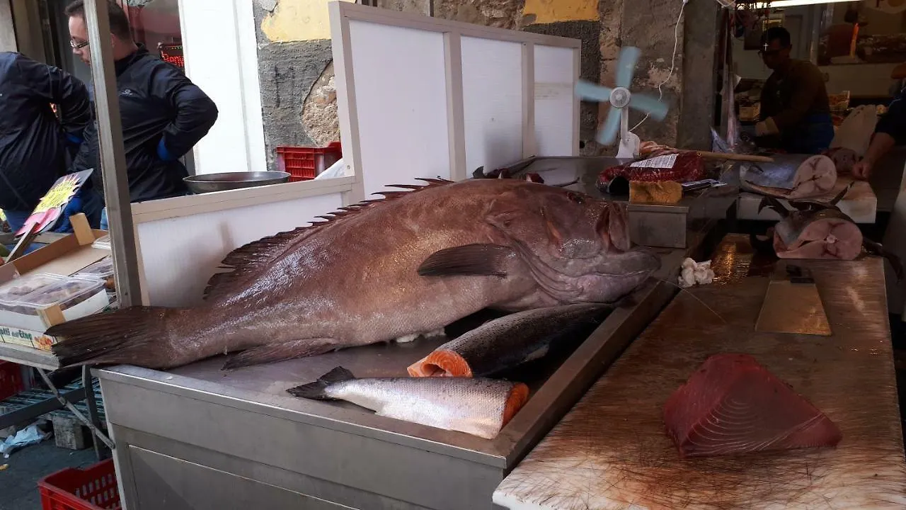 Appartamento Ortigia Giuliana Syrakusa Italien